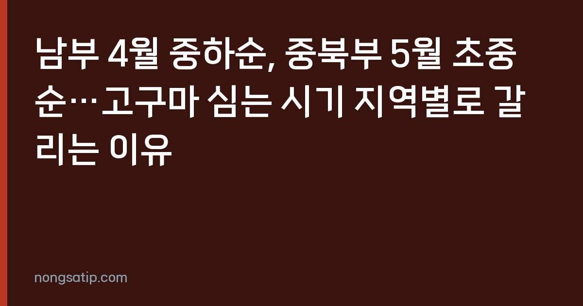 남부 4월 중하순, 중북부 5월 초중순…고구마 심는 시기 지역별로 갈리는 이유