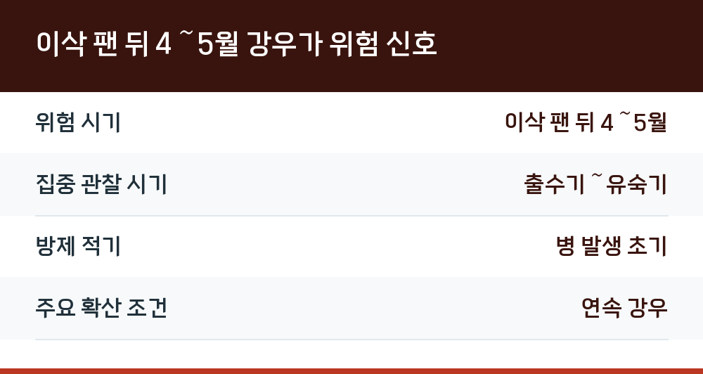 이삭 팬 뒤 4~5월 강우가 위험 신호