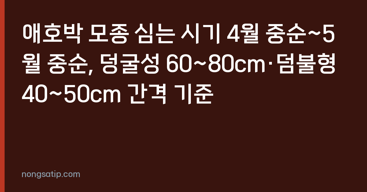 애호박 모종 심는 시기 4월 중순~5월 중순, 덩굴성 60~80cm·덤불형 40~50cm 간격 기준