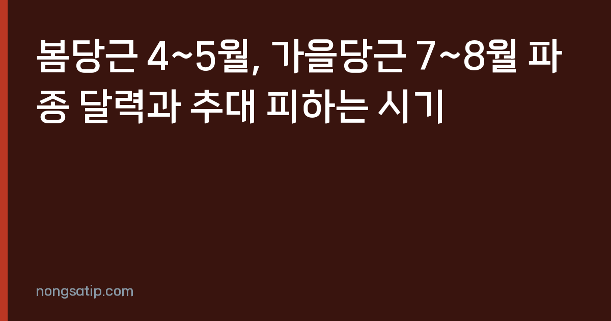 봄당근 4~5월, 가을당근 7~8월 파종 달력과 추대 피하는 시기