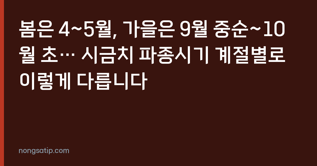 봄은 4~5월, 가을은 9월 중순~10월 초… 시금치 파종시기 계절별로 이렇게 다릅니다
