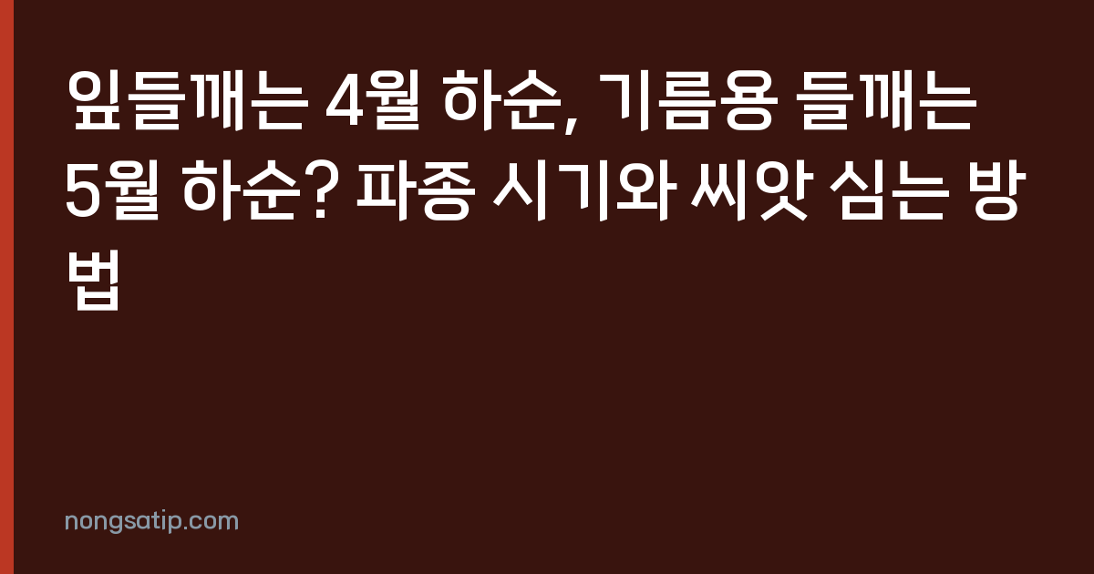 잎들깨는 4월 하순, 기름용 들깨는 5월 하순? 파종 시기와 씨앗 심는 방법