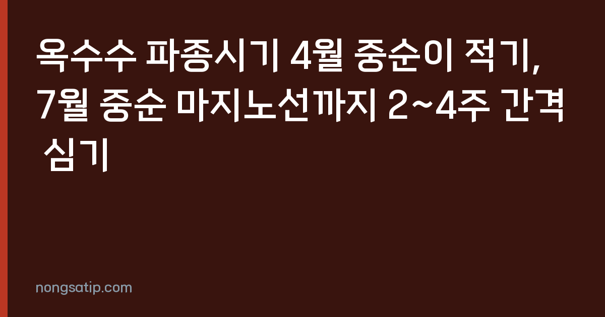 옥수수 파종시기 4월 중순이 적기, 7월 중순 마지노선까지 2~4주 간격 심기