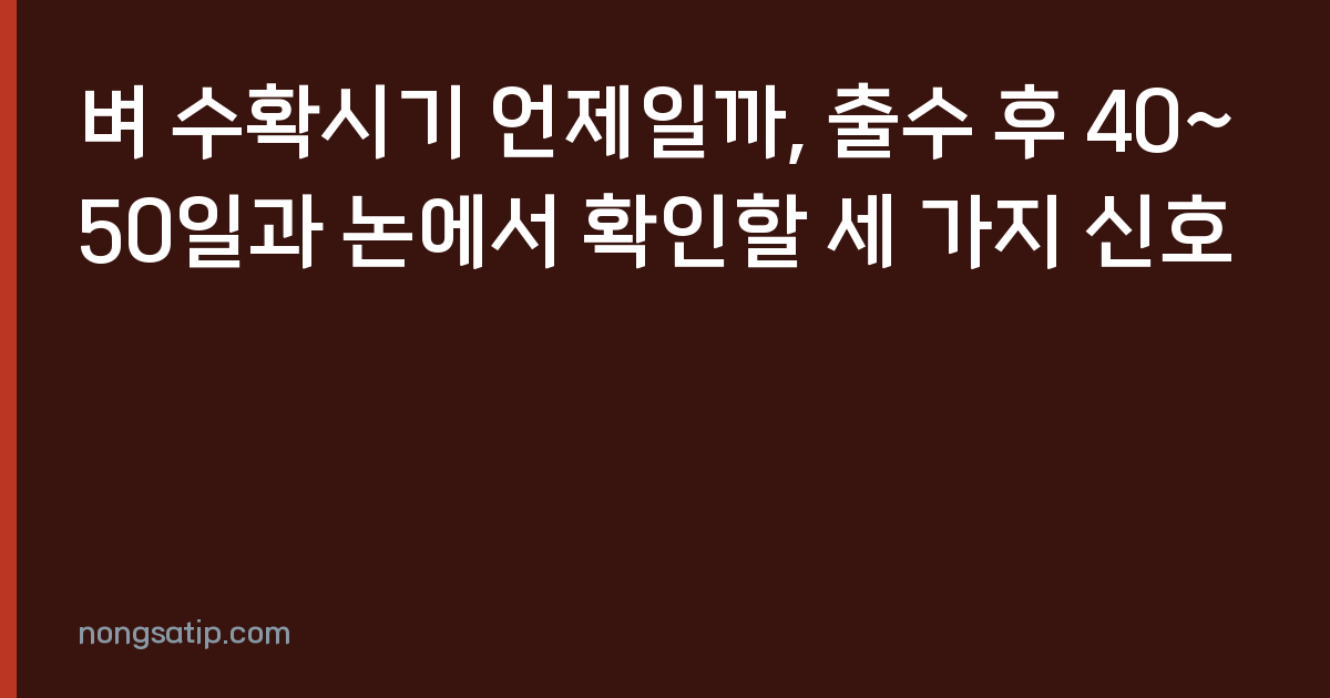 벼 수확시기 언제일까, 출수 후 40~50일과 논에서 확인할 세 가지 신호