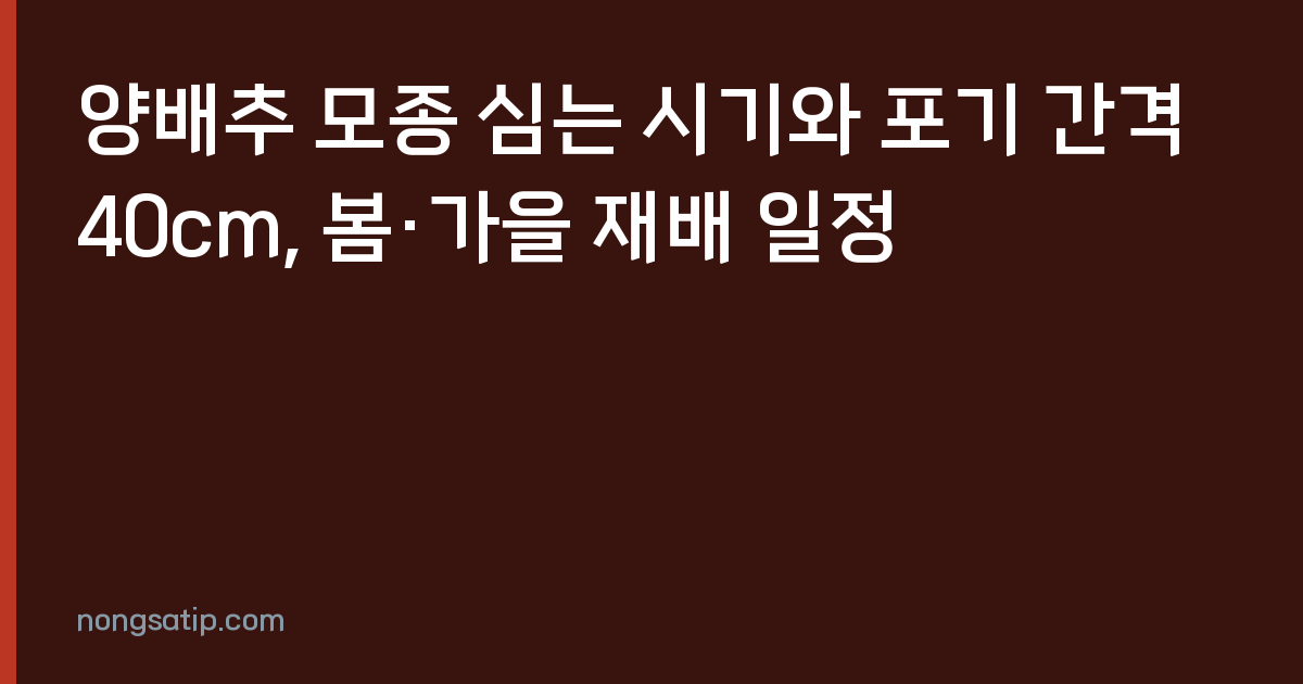 양배추 모종 심는 시기와 포기 간격 40cm, 봄·가을 재배 일정