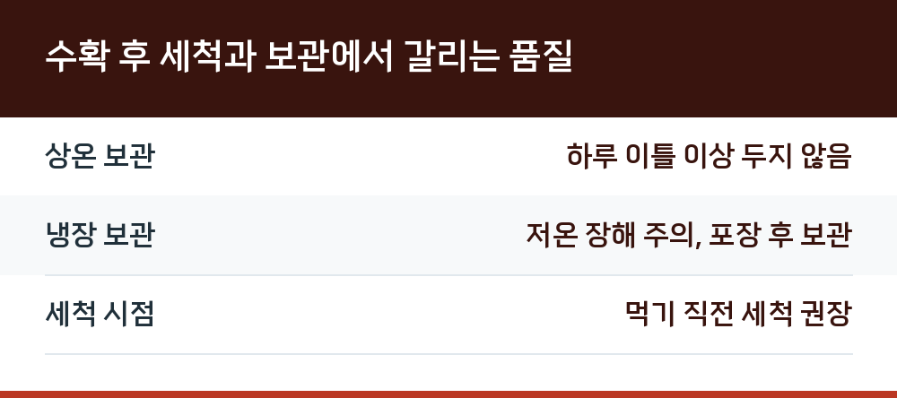 수확 후 세척과 보관에서 갈리는 품질