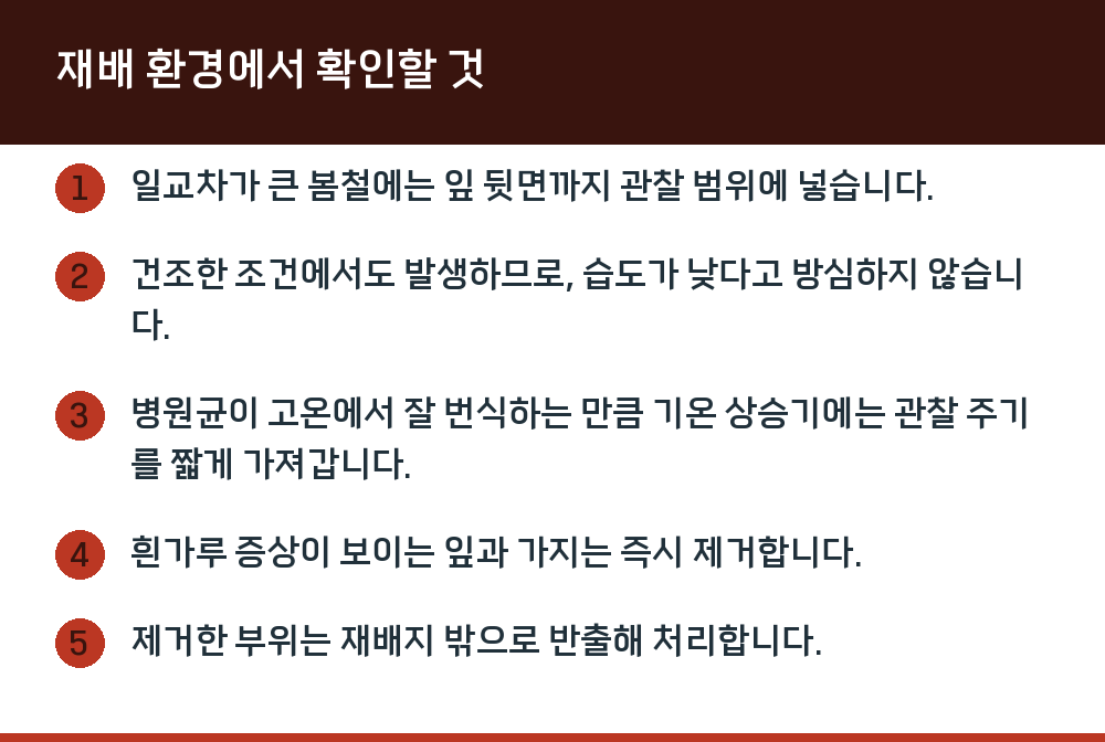 재배 환경에서 확인할 것