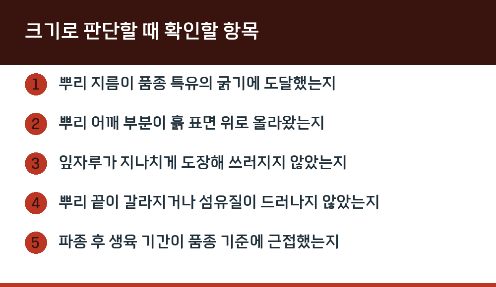 크기로 판단할 때 확인할 항목