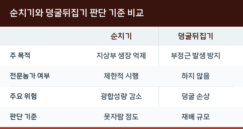 순치기와 덩굴뒤집기 판단 기준 비교