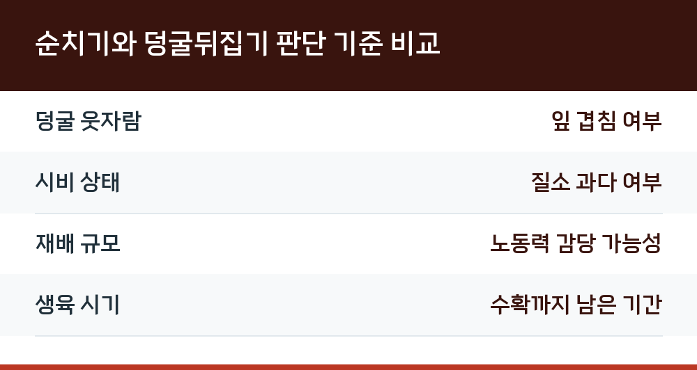 순치기와 덩굴뒤집기 판단 기준 비교