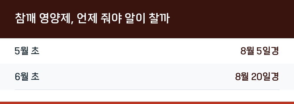 참깨 영양제, 언제 줘야 알이 찰까