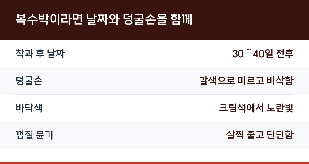 복수박이라면 날짜와 덩굴손을 함께