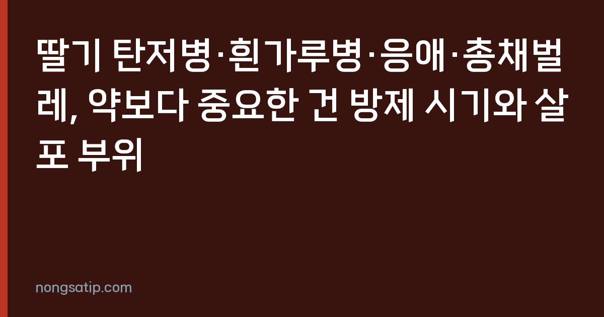 딸기 탄저병·흰가루병·응애·총채벌레, 약보다 중요한 건 방제 시기와 살포 부위