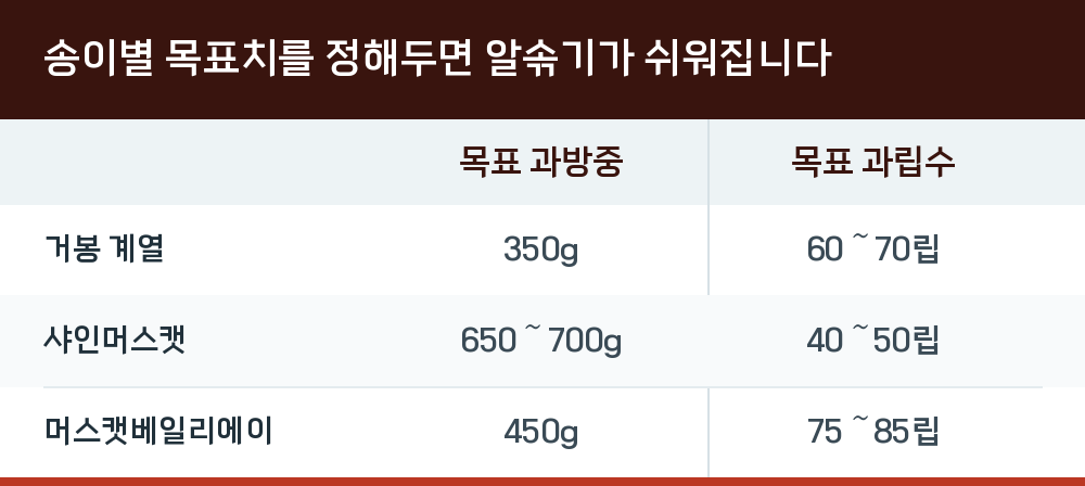 송이별 목표치를 정해두면 알솎기가 쉬워집니다