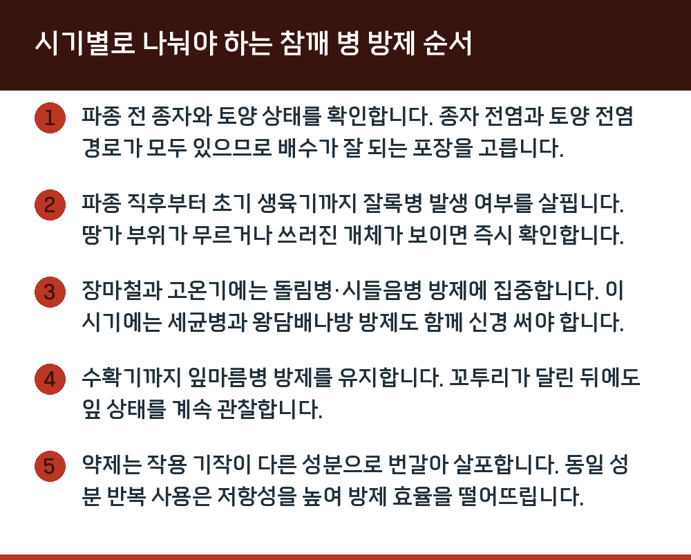 시기별로 나눠야 하는 참깨 병 방제 순서
