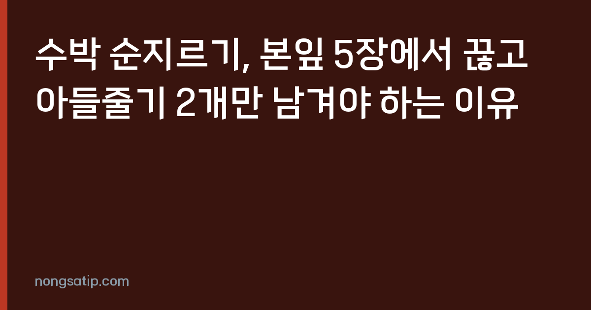 수박 순지르기, 본잎 5장에서 끊고 아들줄기 2개만 남겨야 하는 이유