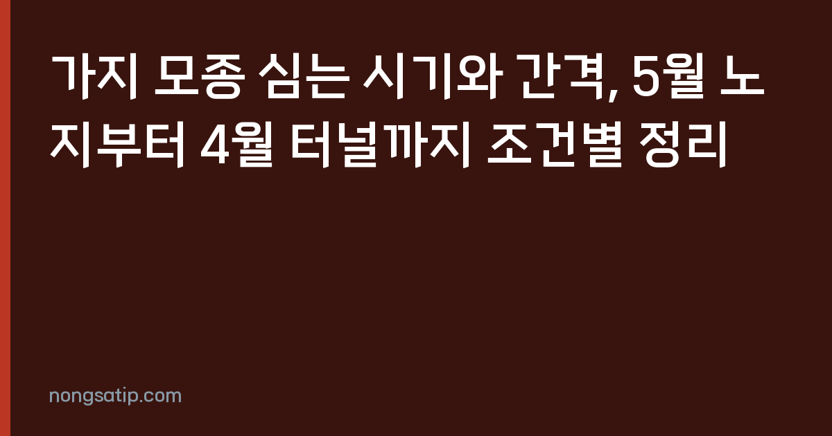 가지 모종 심는 시기와 간격, 5월 노지부터 4월 터널까지 조건별 정리