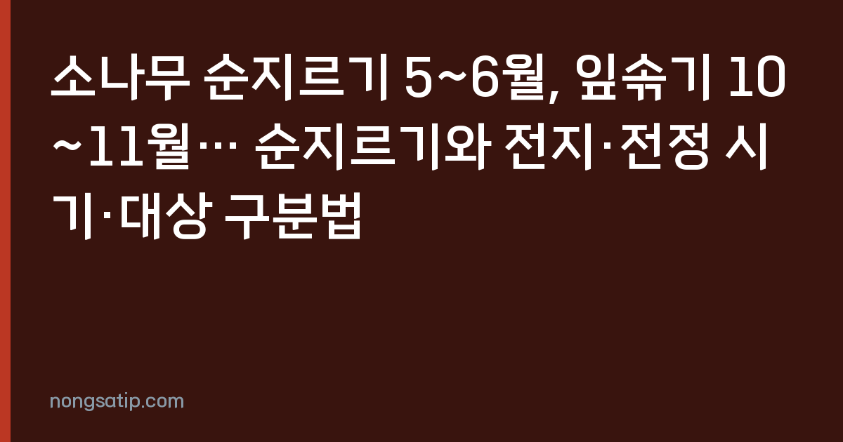 소나무 순지르기 5~6월, 잎솎기 10~11월… 순지르기와 전지·전정 시기·대상 구분법