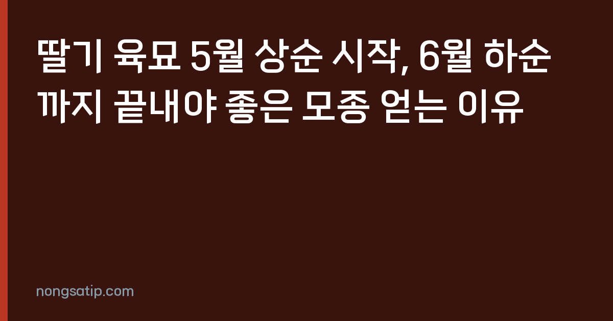 딸기 육묘 5월 상순 시작, 6월 하순까지 끝내야 좋은 모종 얻는 이유