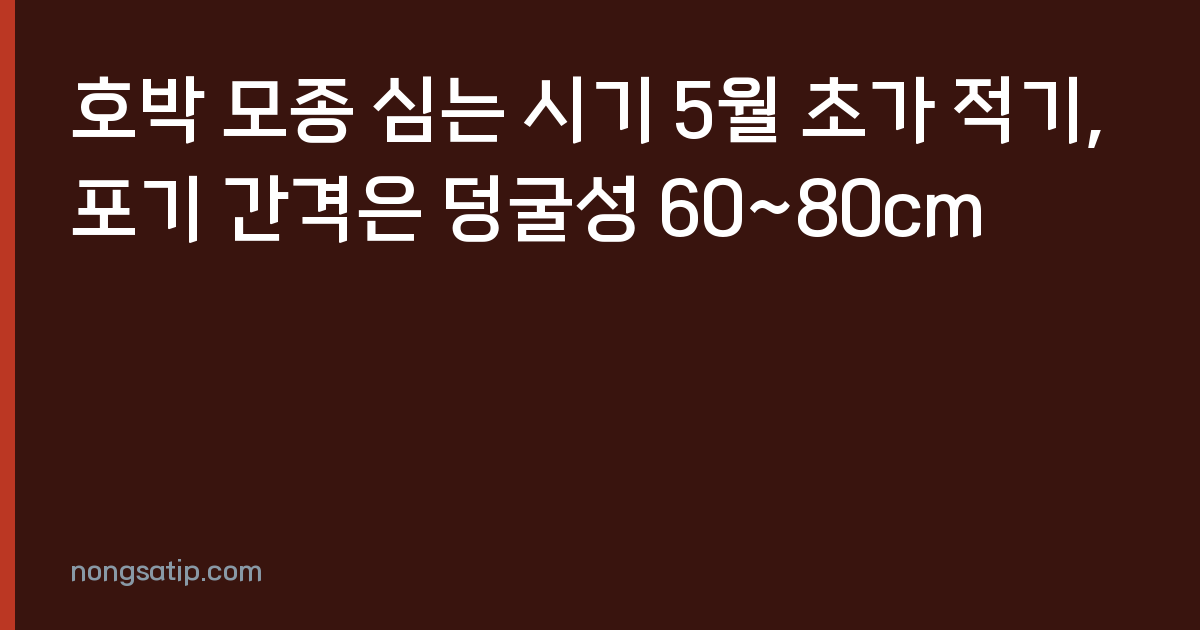 호박 모종 심는 시기 5월 초가 적기, 포기 간격은 덩굴성 60~80cm