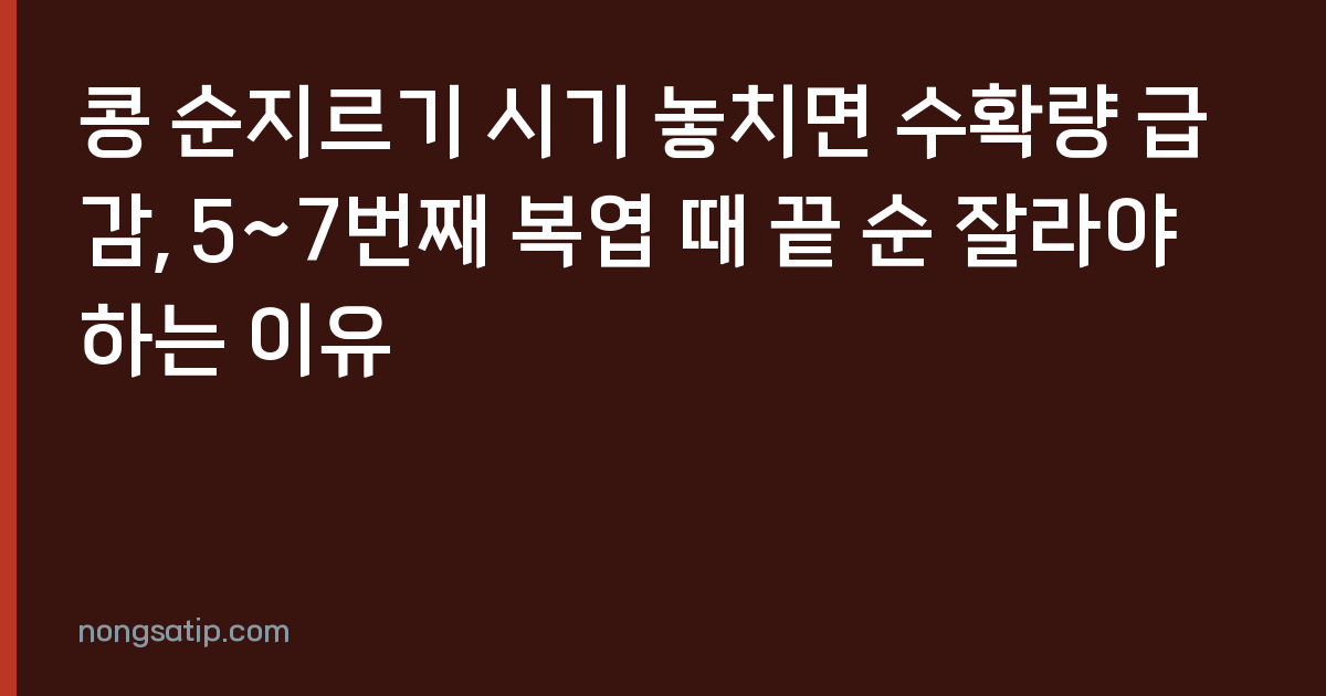 콩 순지르기 시기 놓치면 수확량 급감, 5~7번째 복엽 때 끝 순 잘라야 하는 이유