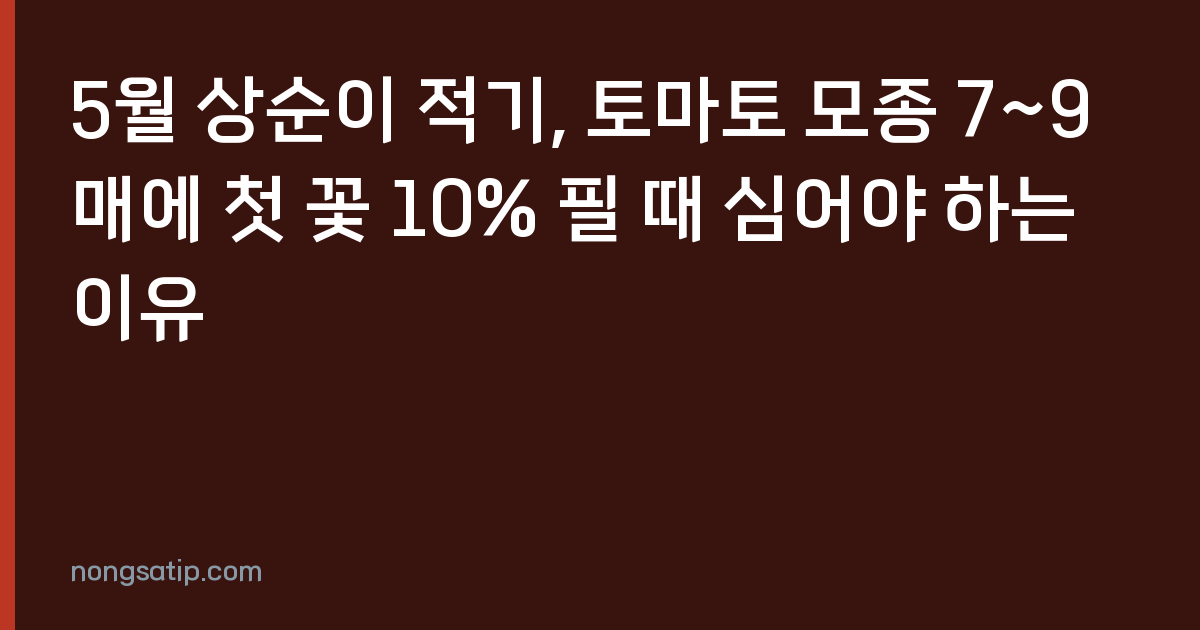 5월 상순이 적기, 토마토 모종 7~9매에 첫 꽃 10% 필 때 심어야 하는 이유