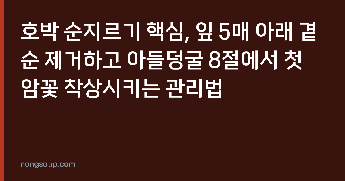호박 순지르기 핵심, 잎 5매 아래 곁순 제거하고 아들덩굴 8절에서 첫 암꽃 착상시키는 관리법