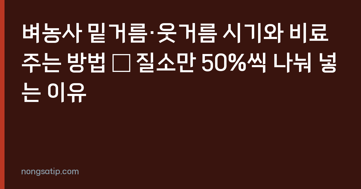 벼농사 밑거름·웃거름 시기와 비료 주는 방법 — 질소만 50%씩 나눠 넣는 이유