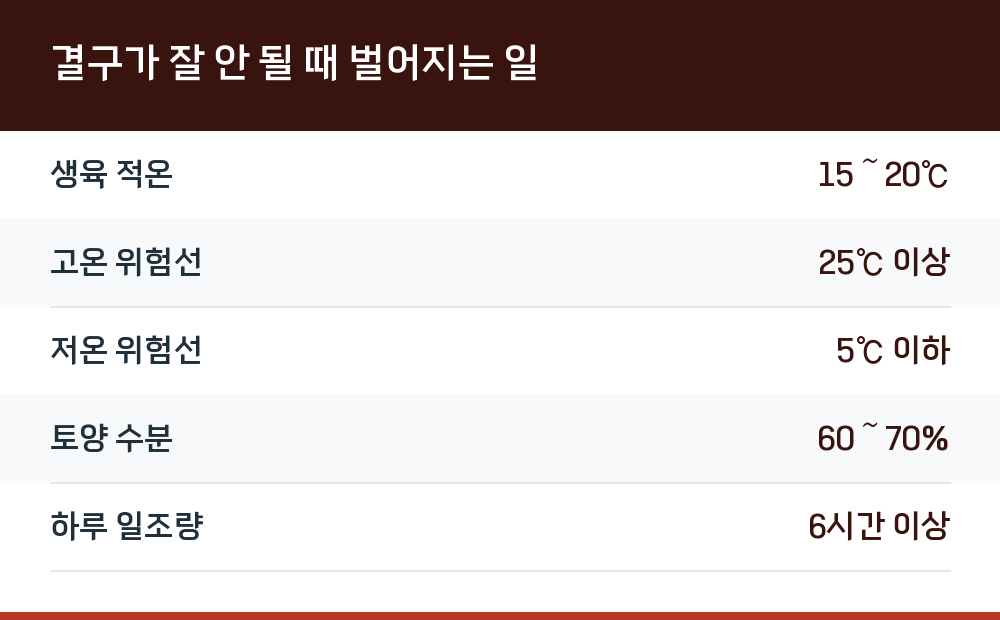 결구가 잘 안 될 때 벌어지는 일