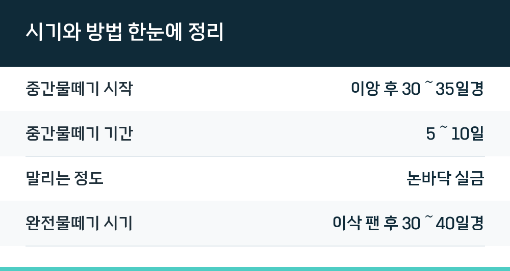 시기와 방법 한눈에 정리