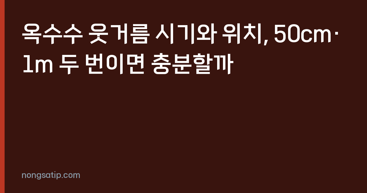 옥수수 웃거름 시기와 위치, 50cm·1m 두 번이면 충분할까
