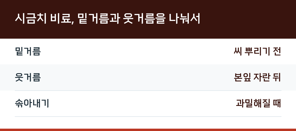 시금치 비료, 밑거름과 웃거름을 나눠서