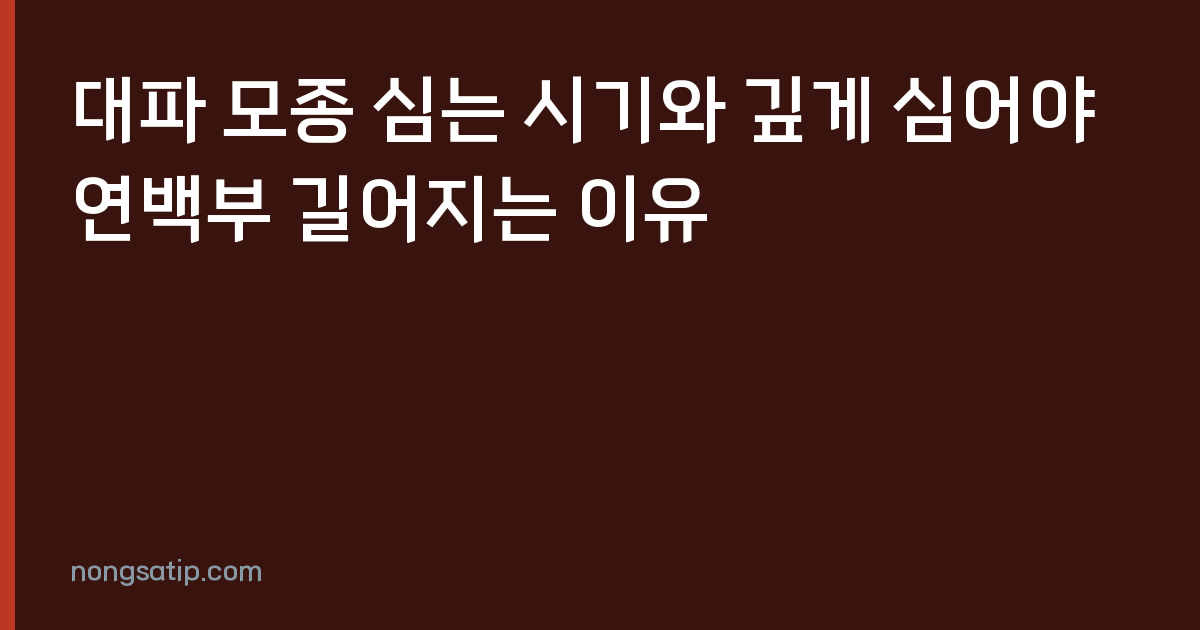 대파 모종 심는 시기와 깊게 심어야 연백부 길어지는 이유