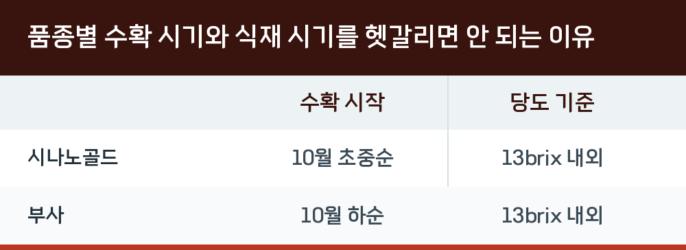 품종별 수확 시기와 식재 시기를 헷갈리면 안 되는 이유
