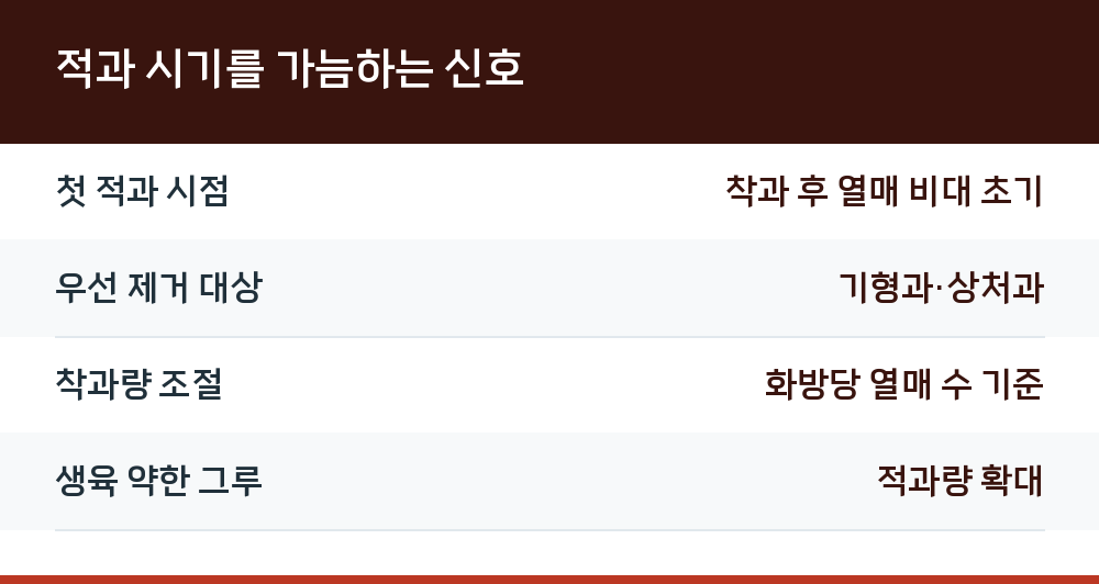 적과 시기를 가늠하는 신호