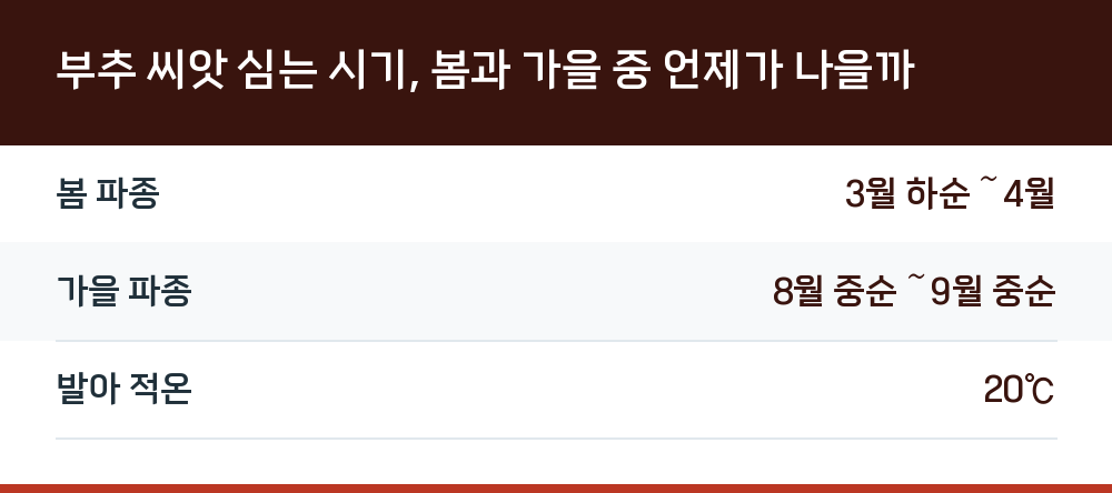 부추 씨앗 심는 시기, 봄과 가을 중 언제가 나을까