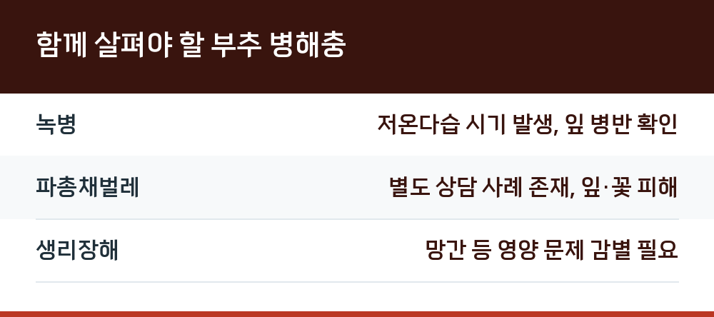함께 살펴야 할 부추 병해충