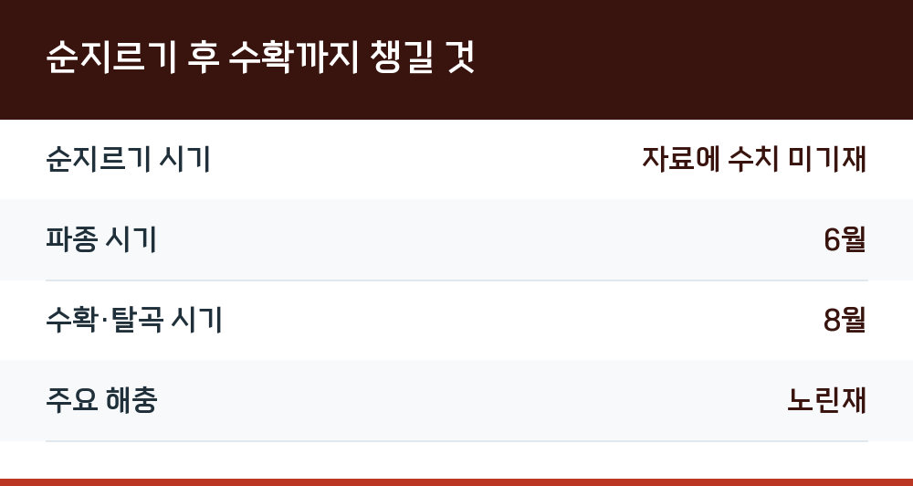 순지르기 후 수확까지 챙길 것