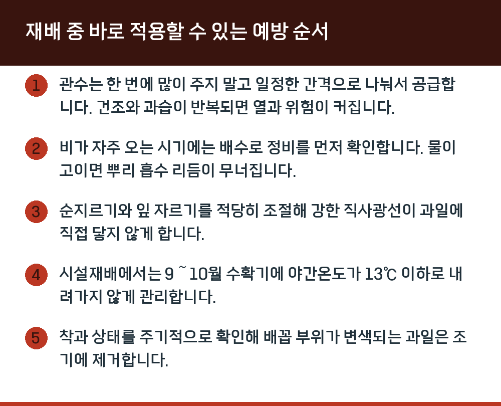 재배 중 바로 적용할 수 있는 예방 순서