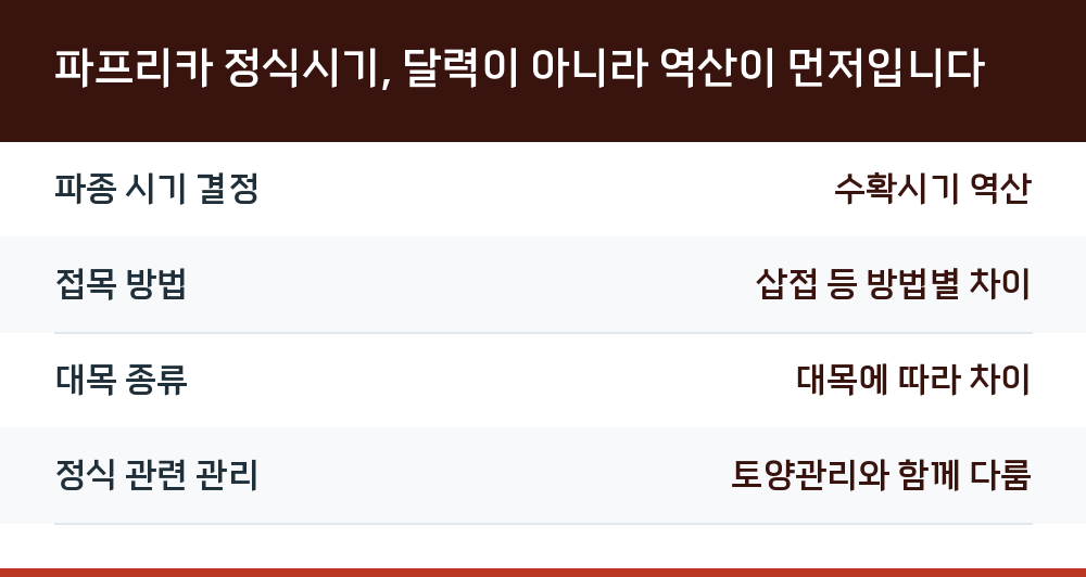 파프리카 정식시기, 달력이 아니라 역산이 먼저입니다