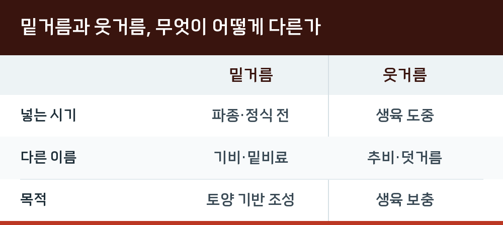 밑거름과 웃거름, 무엇이 어떻게 다른가