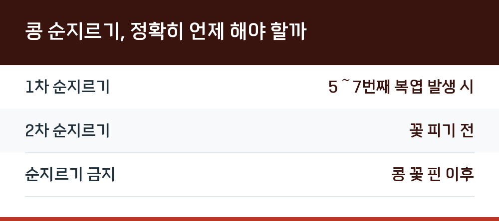 콩 순지르기, 정확히 언제 해야 할까