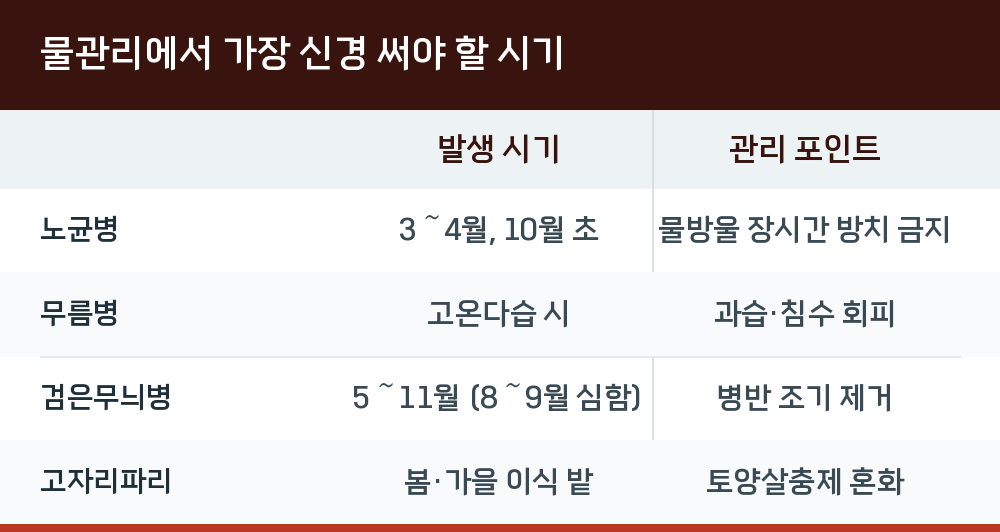 물관리에서 가장 신경 써야 할 시기