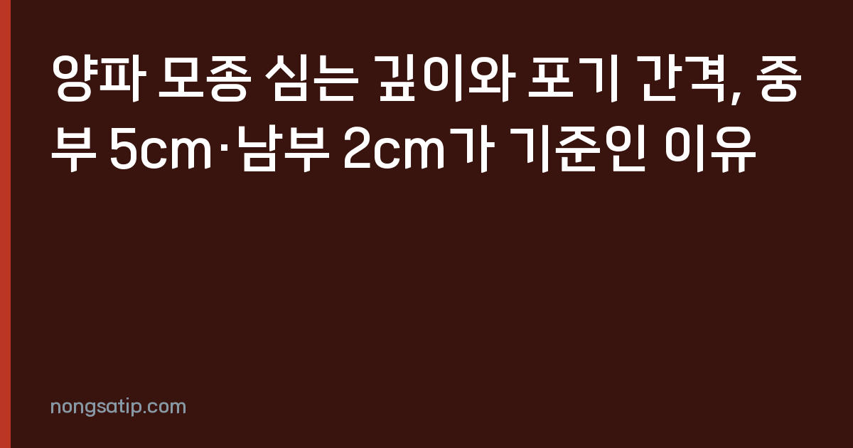 양파 모종 심는 깊이와 포기 간격, 중부 5cm·남부 2cm가 기준인 이유