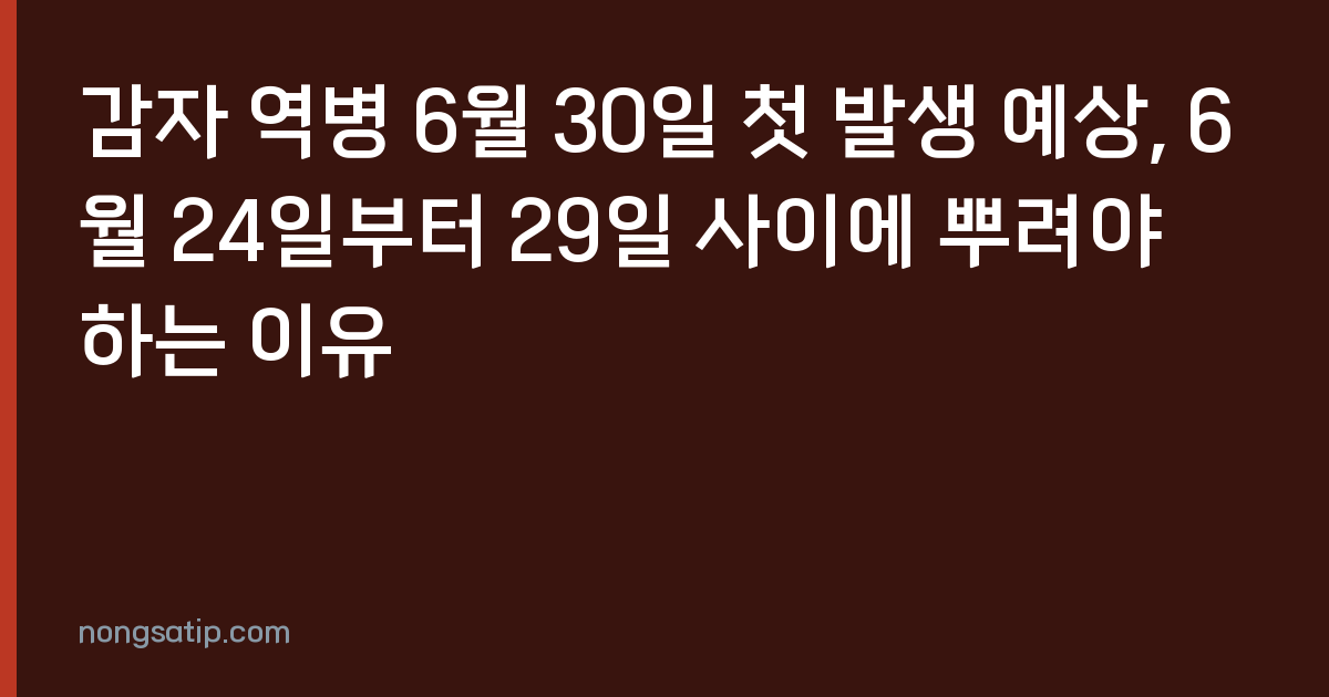 감자 역병 6월 30일 첫 발생 예상, 6월 24일부터 29일 사이에 뿌려야 하는 이유