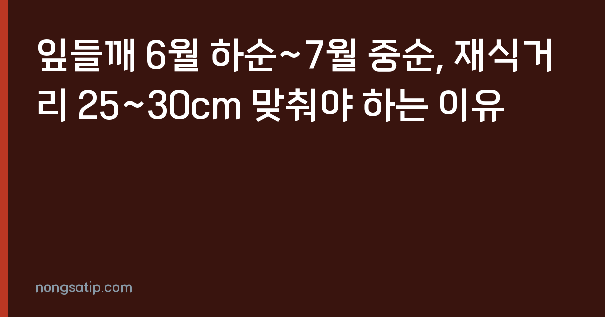 잎들깨 6월 하순~7월 중순, 재식거리 25~30cm 맞춰야 하는 이유