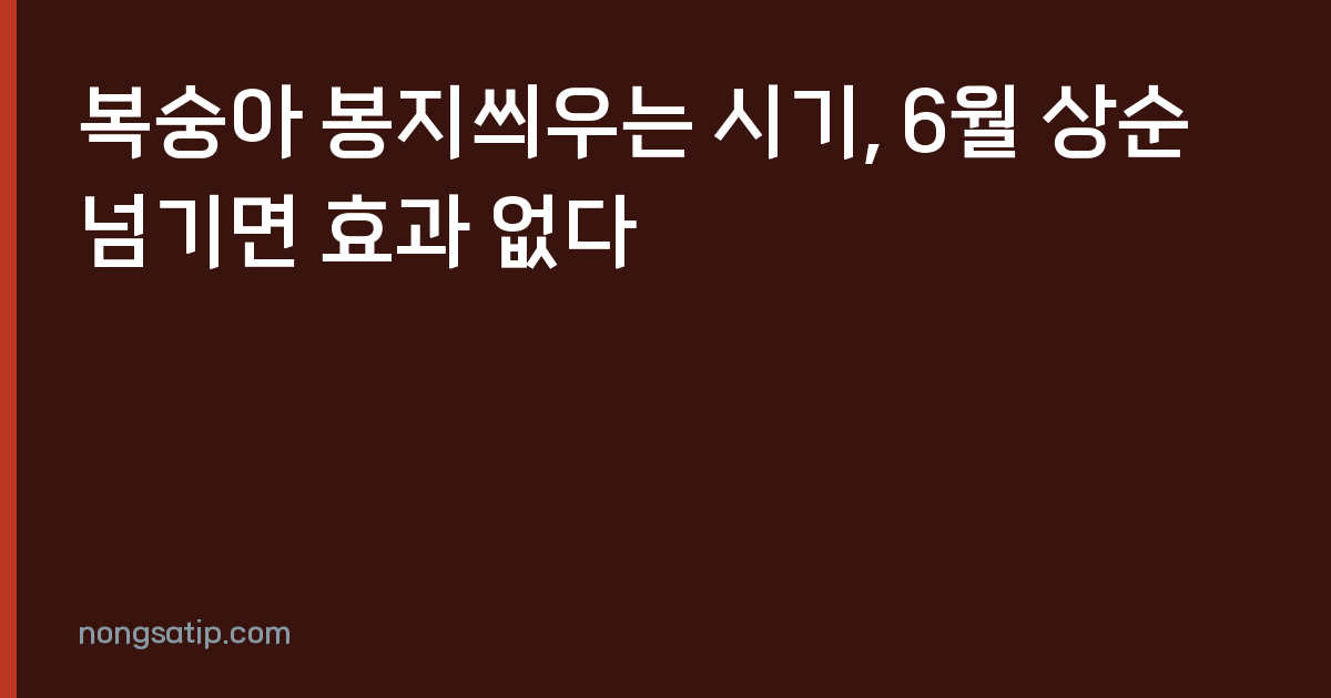 복숭아 봉지씌우는 시기, 6월 상순 넘기면 효과 없다