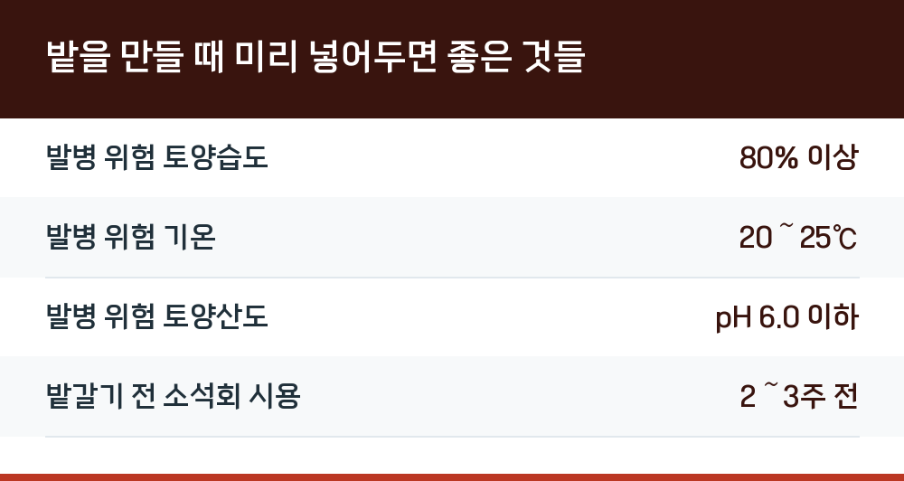 밭을 만들 때 미리 넣어두면 좋은 것들