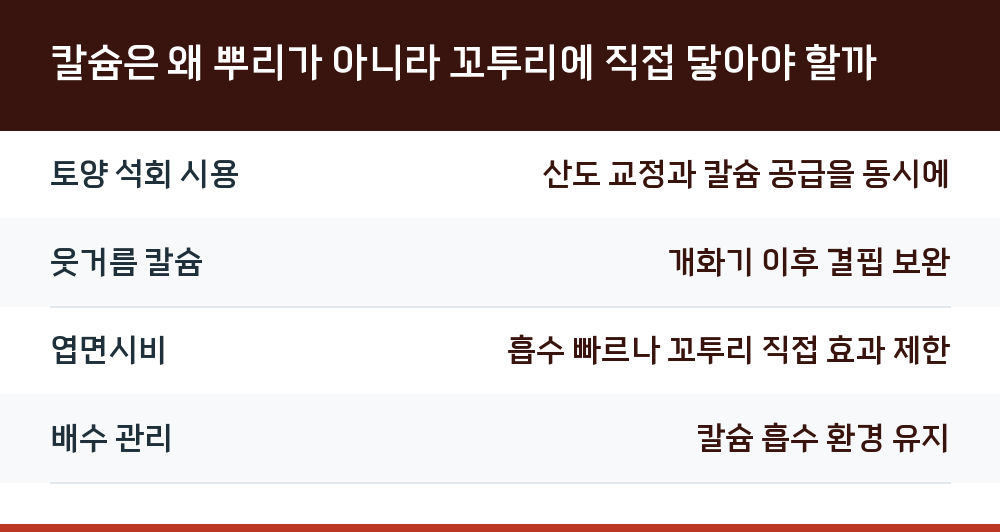칼슘은 왜 뿌리가 아니라 꼬투리에 직접 닿아야 할까