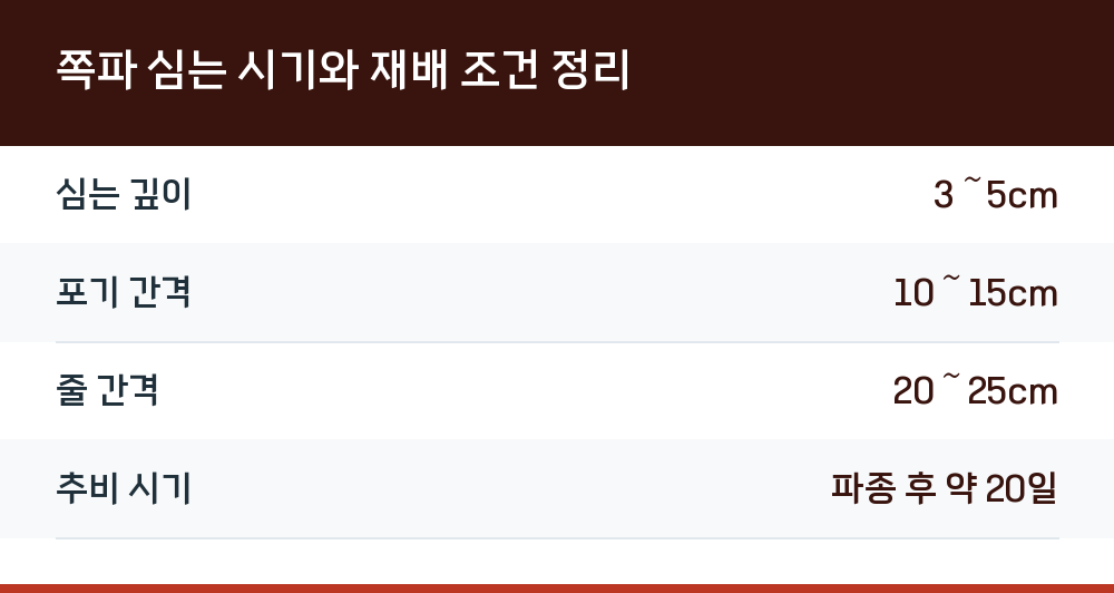 쪽파 심는 시기와 재배 조건 정리